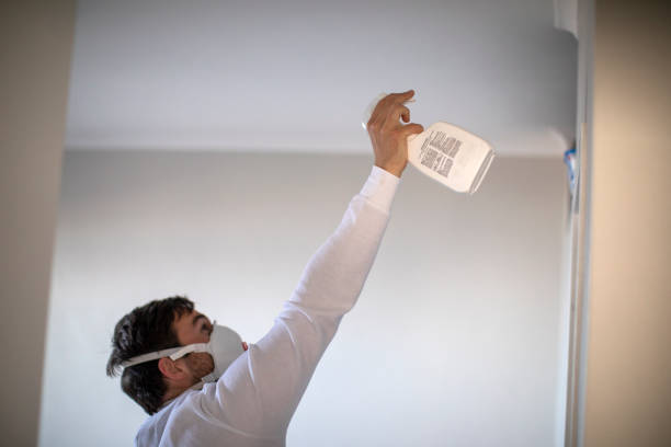 Best Crawl Space Mold Removal  in De Soto, KS