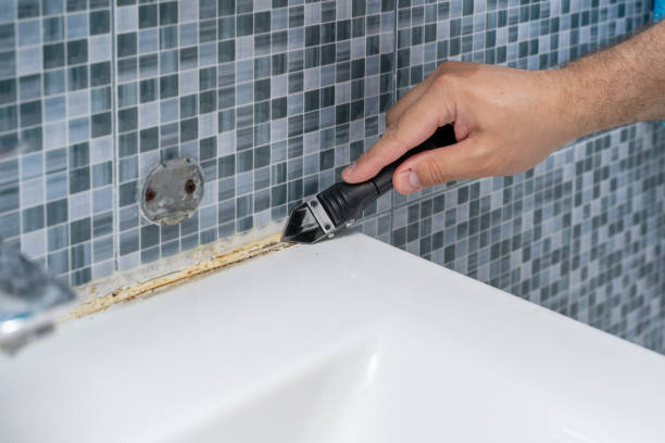 Best Office Mold Removal Services  in De Soto, KS