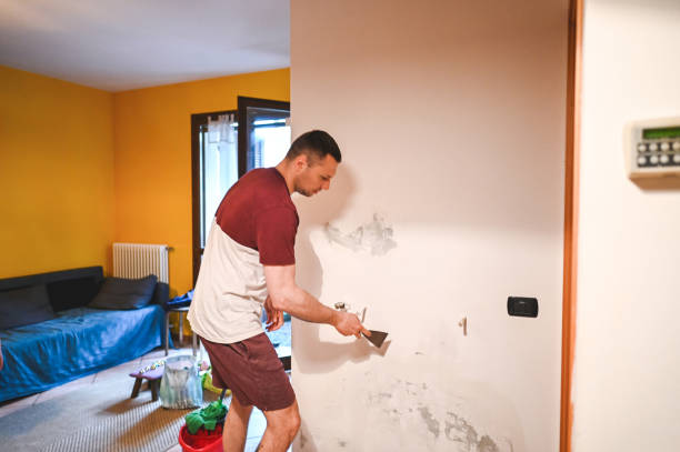 Best Black Mold Removal  in De Soto, KS