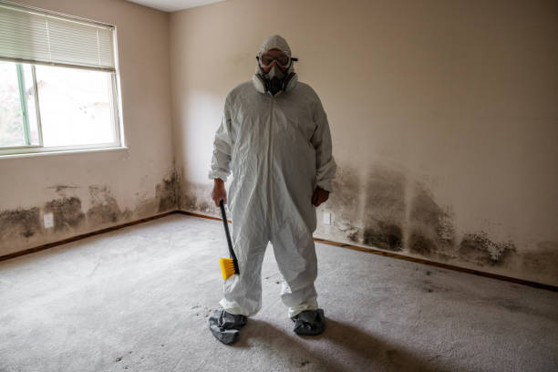 Best Emergency Mold Removal  in De Soto, KS