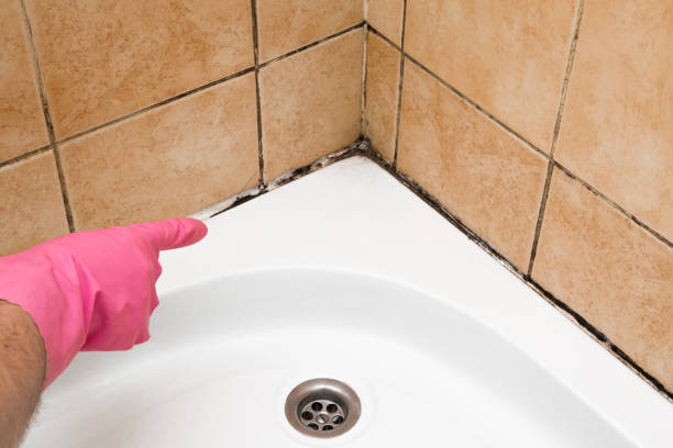 Best Residential Mold Removal  in De Soto, KS